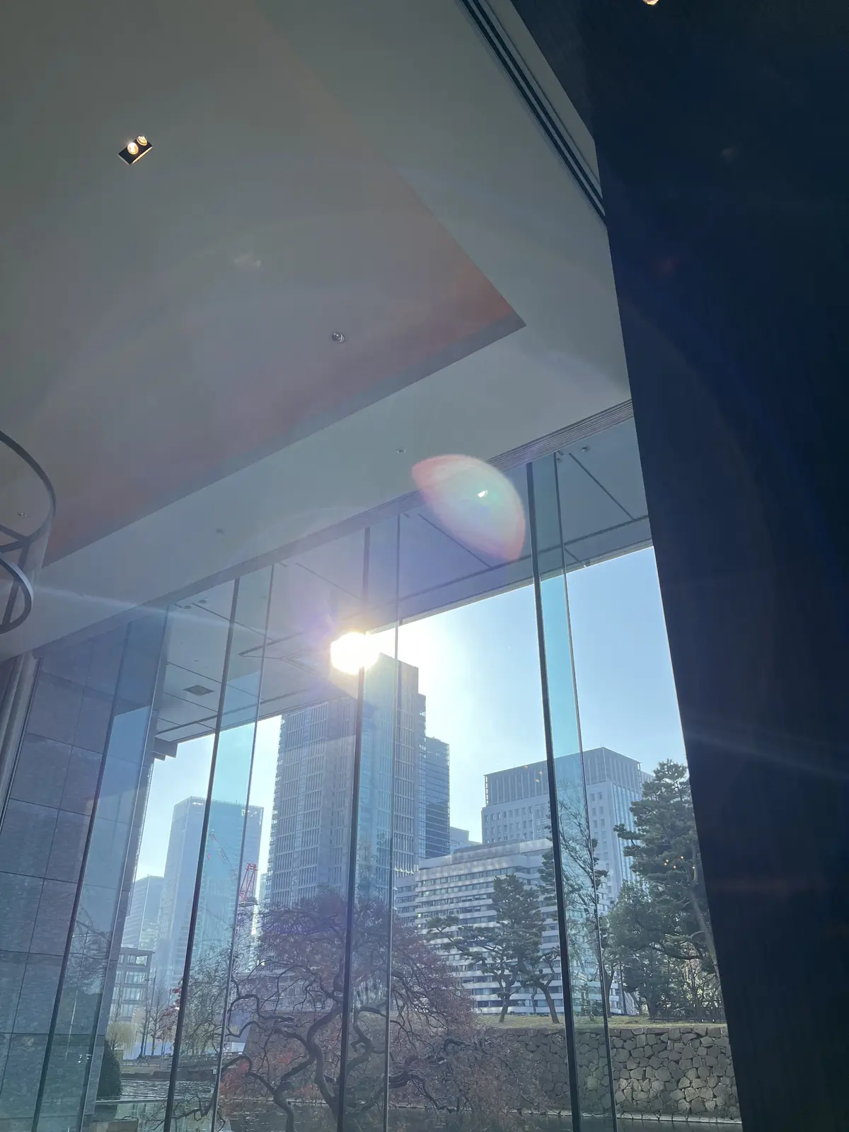 セリーヌのサングラスを新調しました♡の画像_1