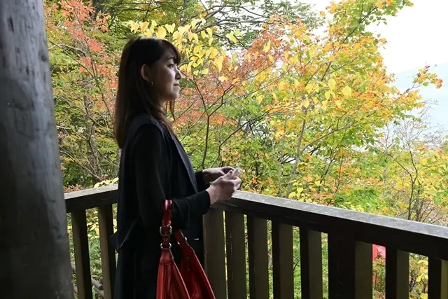 支笏湖　野鳥の森 展望台