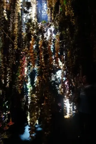 芸術鑑賞Dayで癒されるの画像_6