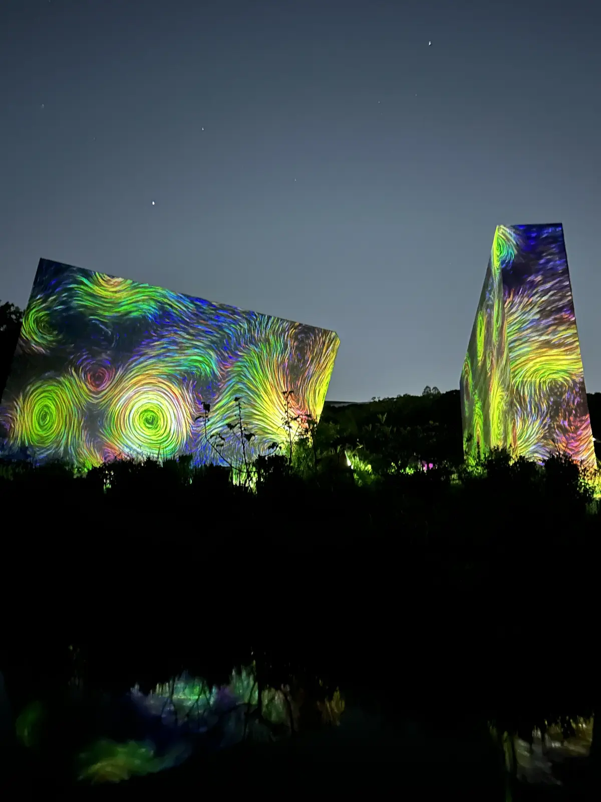 幻想的な夜✨✨　チームラボ　ボタニカルガの画像_9