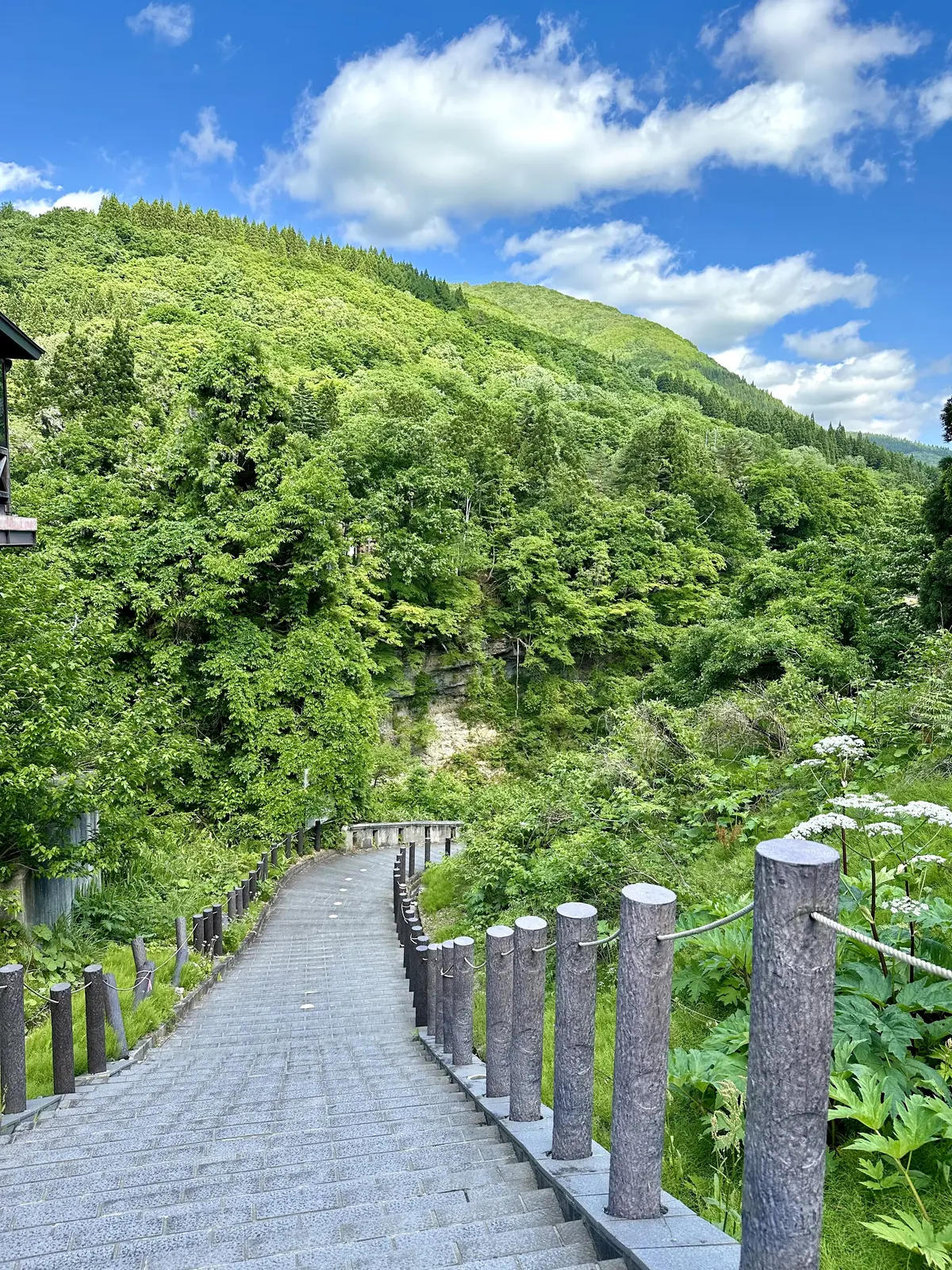 【秋田】雄大な自然と温泉を楽しむ旅ー秋田の画像_18