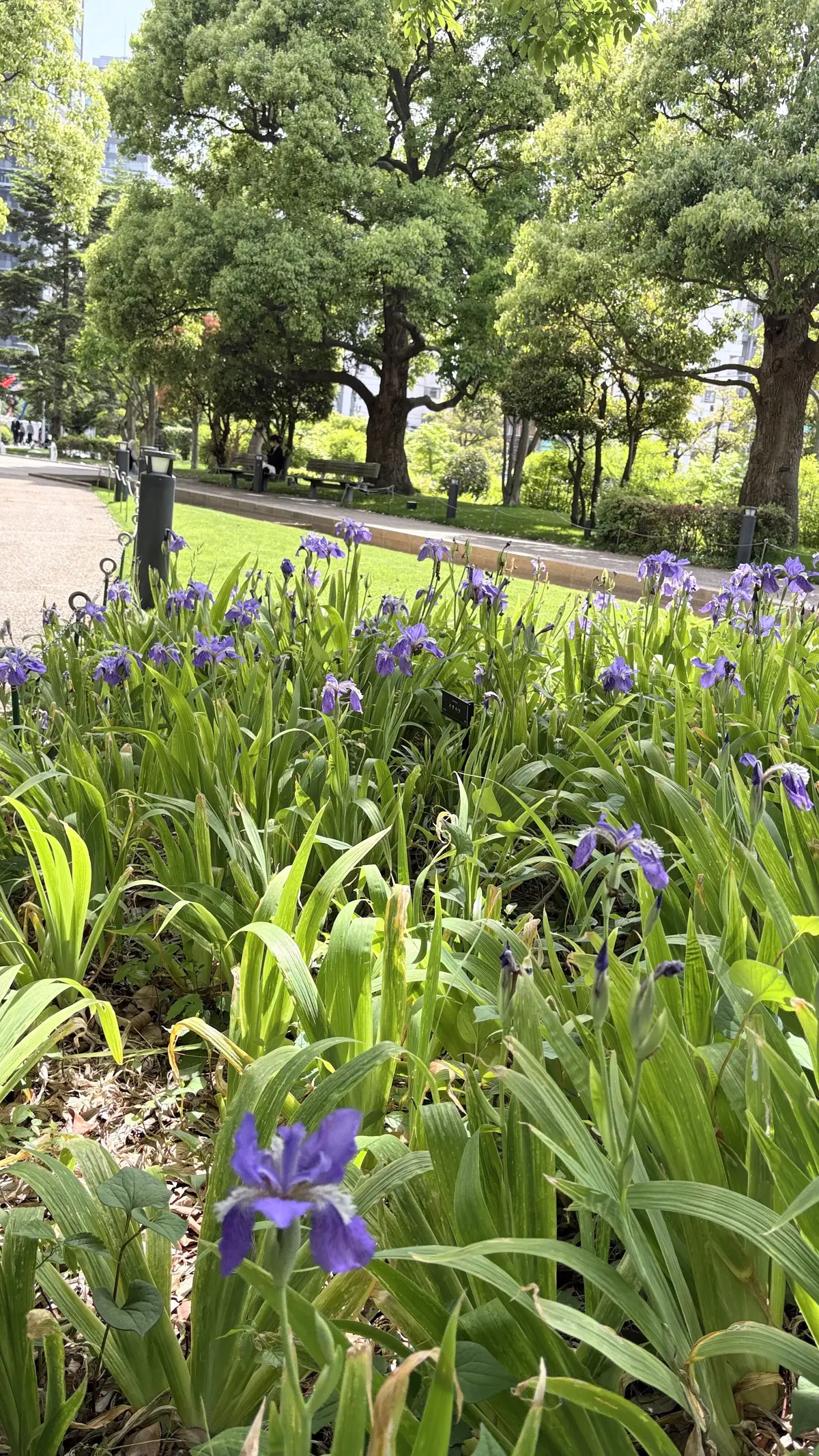 UNIQLO感動パンツでパスタランチ@東の画像_11