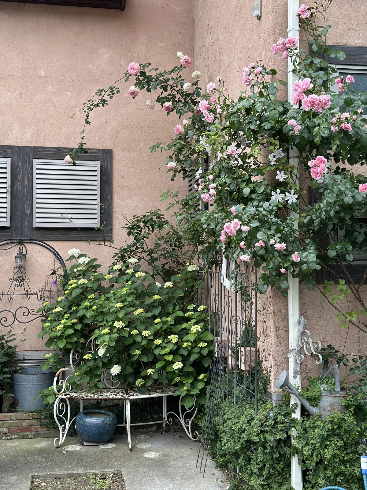 春から初夏へ・・・の画像_13