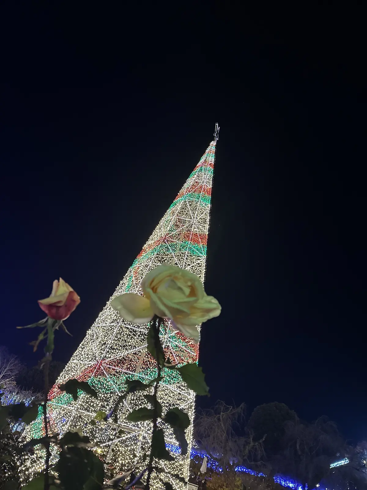 ため息が出るほど綺麗なあしかがフラワーパの画像_2