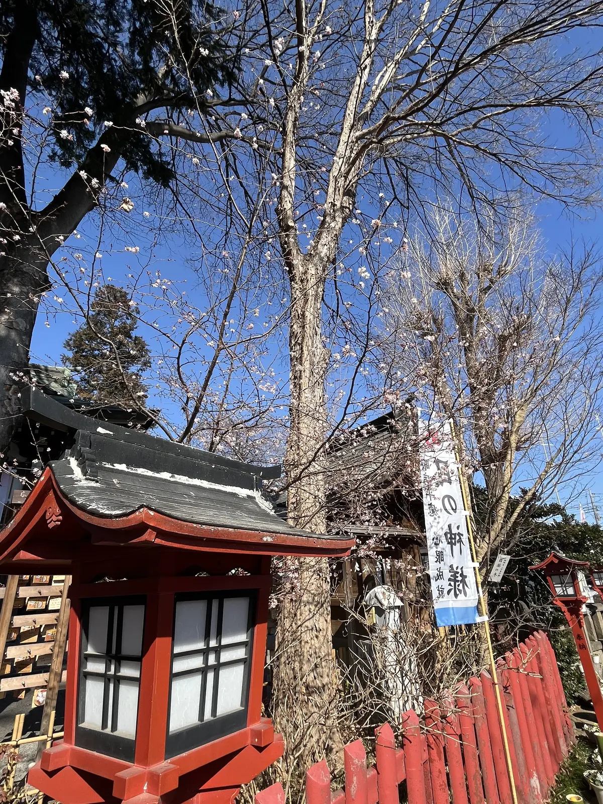 お参り月間になった1月。最後は川越へ。の画像_4