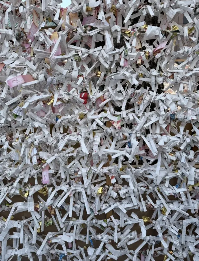 2026年の初詣は神田明神へ神馬あかりちの画像_8