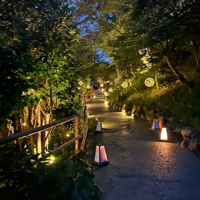 通路がライティングされた庭園