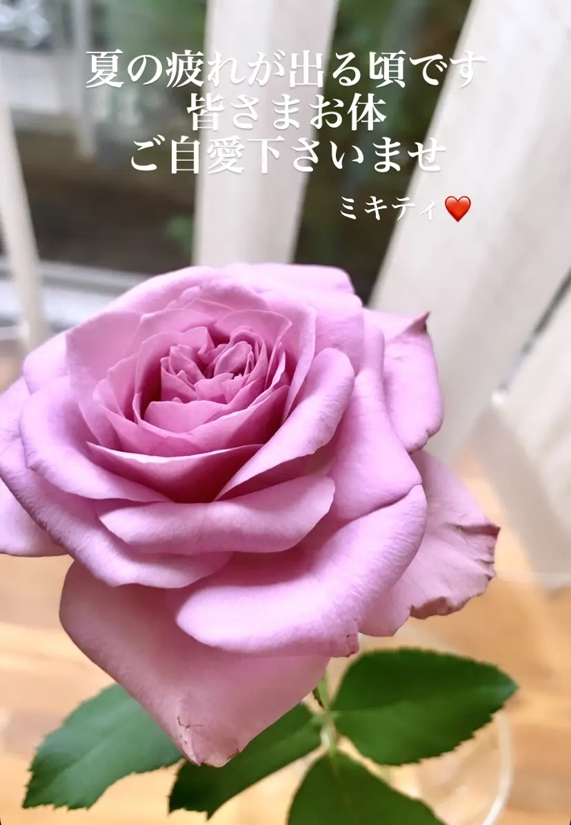 〜jマダムの浴衣でランチ編♪〜の画像_20