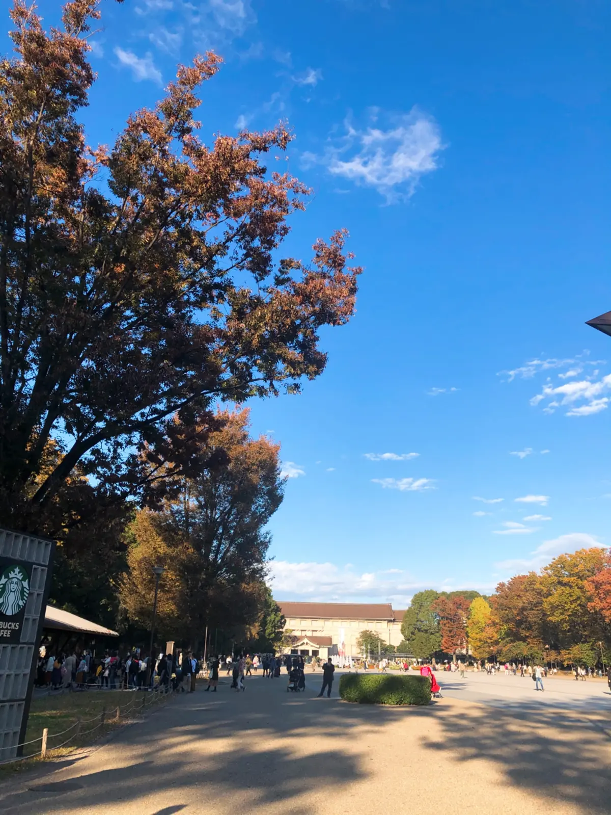 カーキ×グレー渋めコーデで華組ランチ の画像_1