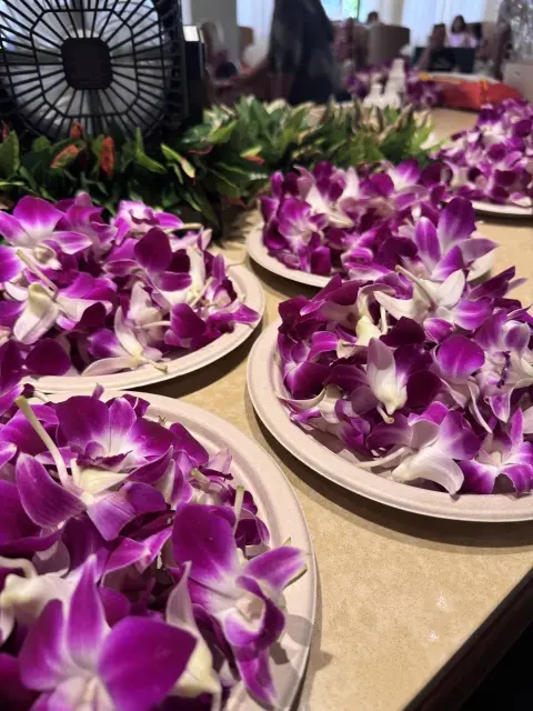 【Hawaii】ハワイを満喫♡大人の過ごの画像_20