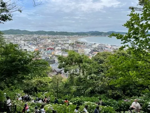 リアルタイムでお伝えする、鎌倉長谷寺あじの画像_9