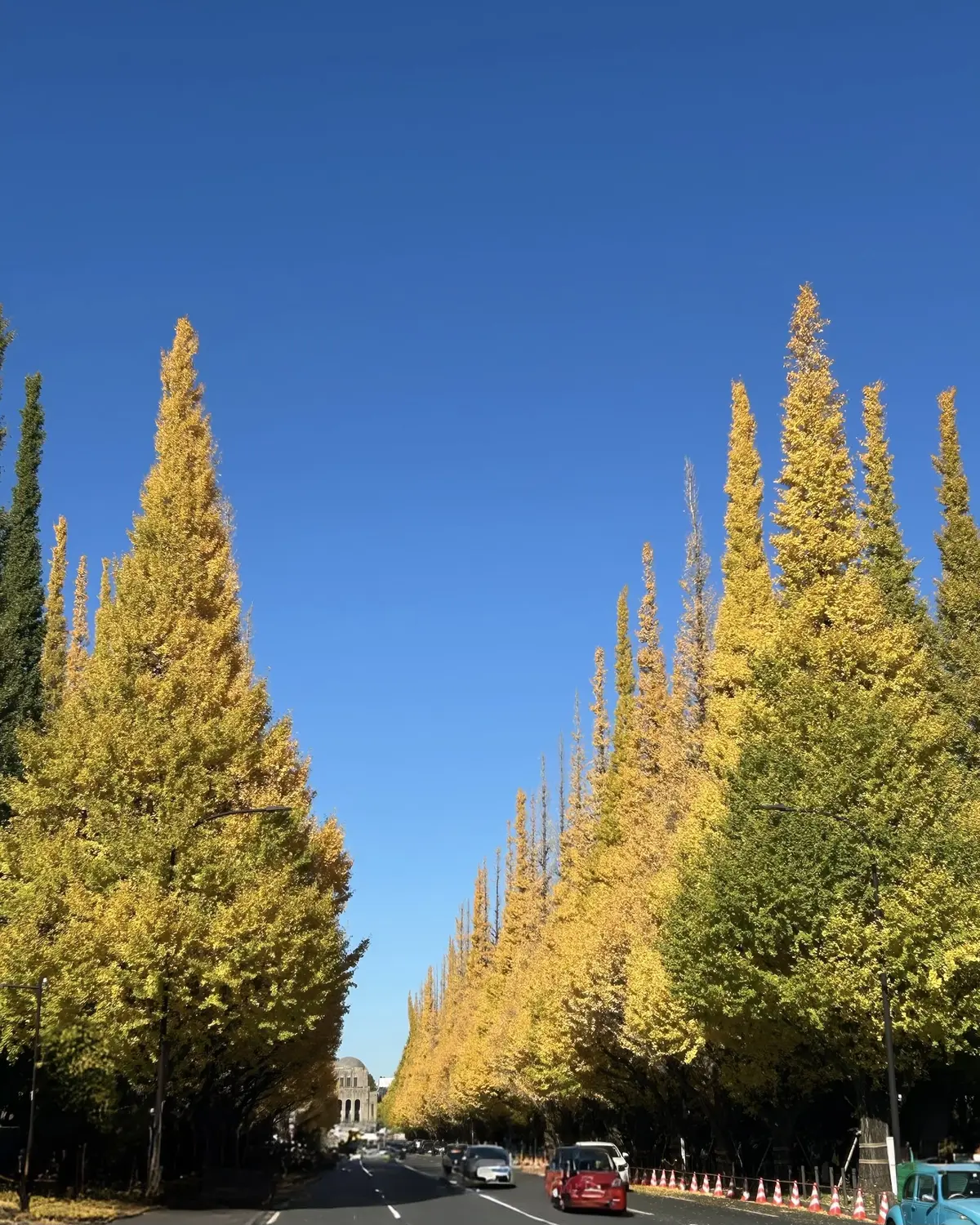 【UNIQLOデニムシャツ×スキニーパンの画像_7