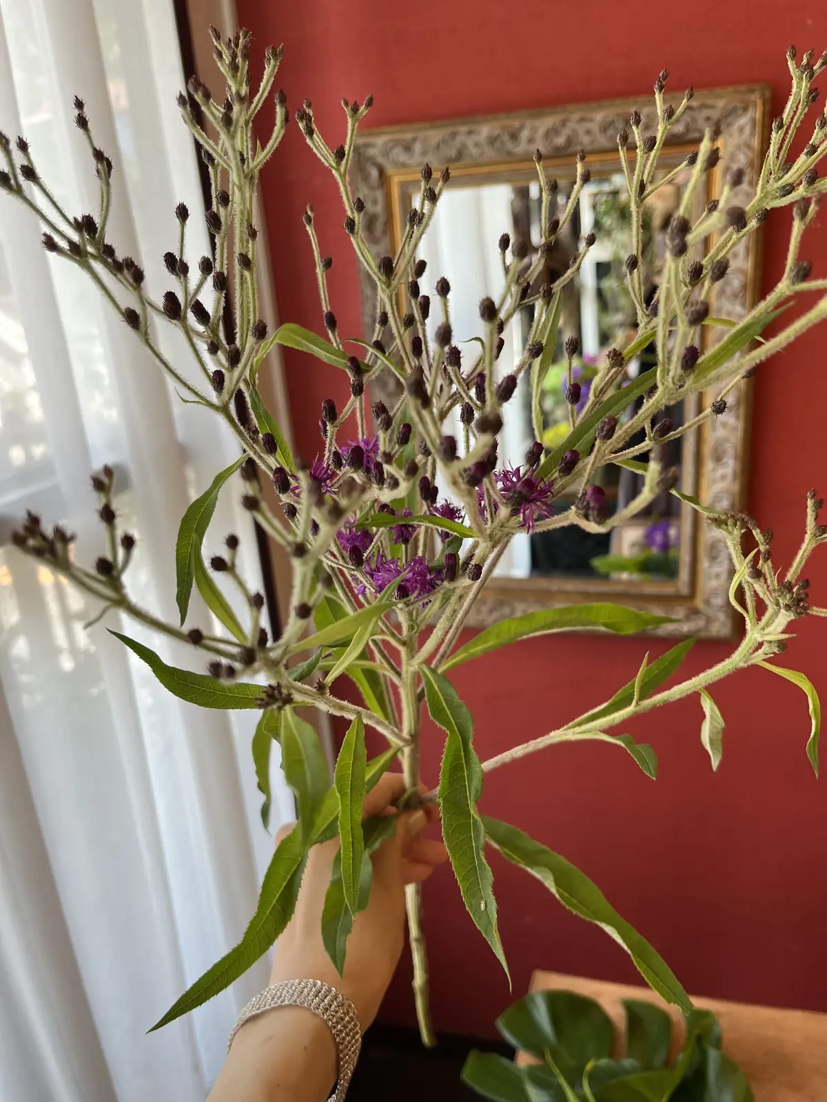 夏はやっぱり〝トロピカル〟なブーケでの画像_7