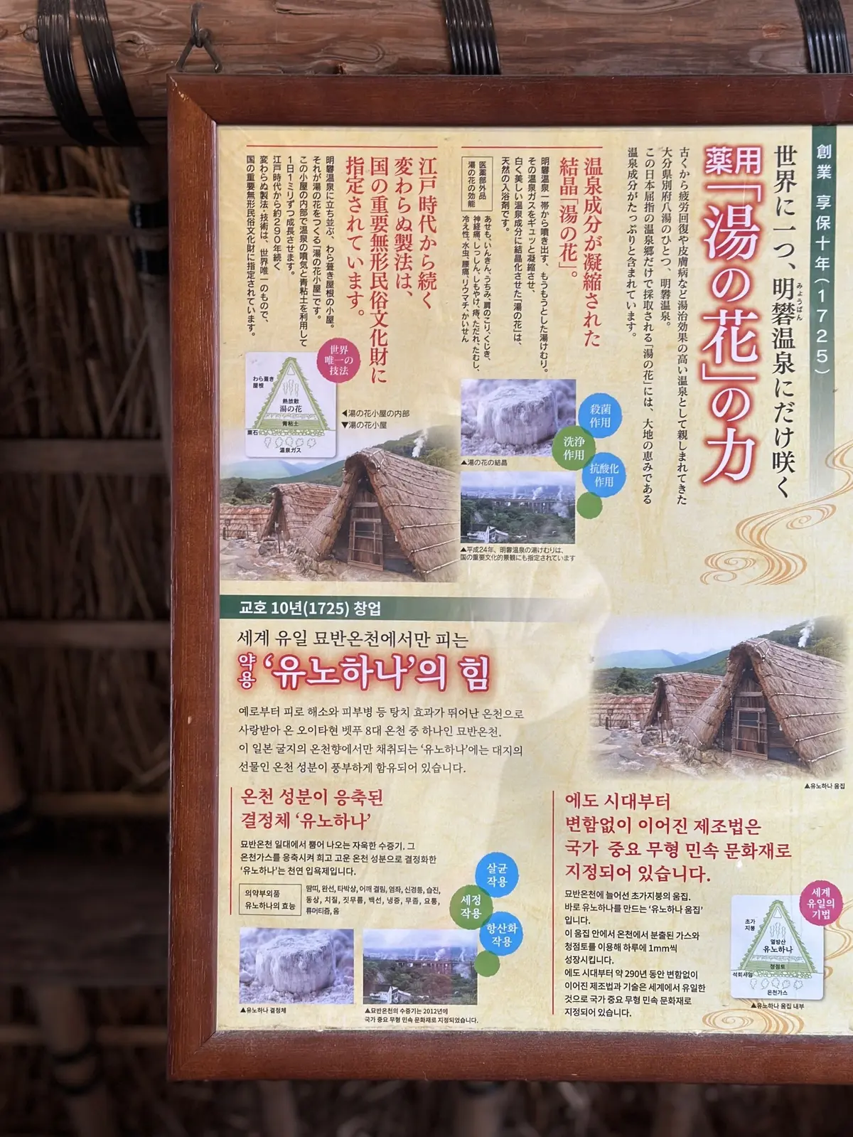 どの温泉へ行こうかな♪ 別府温泉めぐりの画像_6