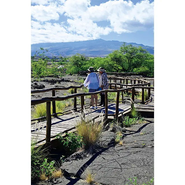 島の歴史やロコの想いを伝え残すために、 有料あるいは無料で、数々のアクティビテ ィが用意されている。リゾート内に残る古 代ハワイアンが残したペトログリフをめぐ るツアーも発見があって興味深い