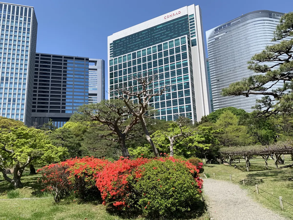 サツキと汐留のビル群