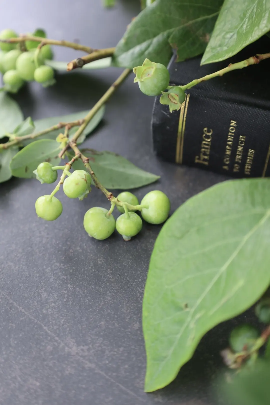 ブルベリーのブーケ