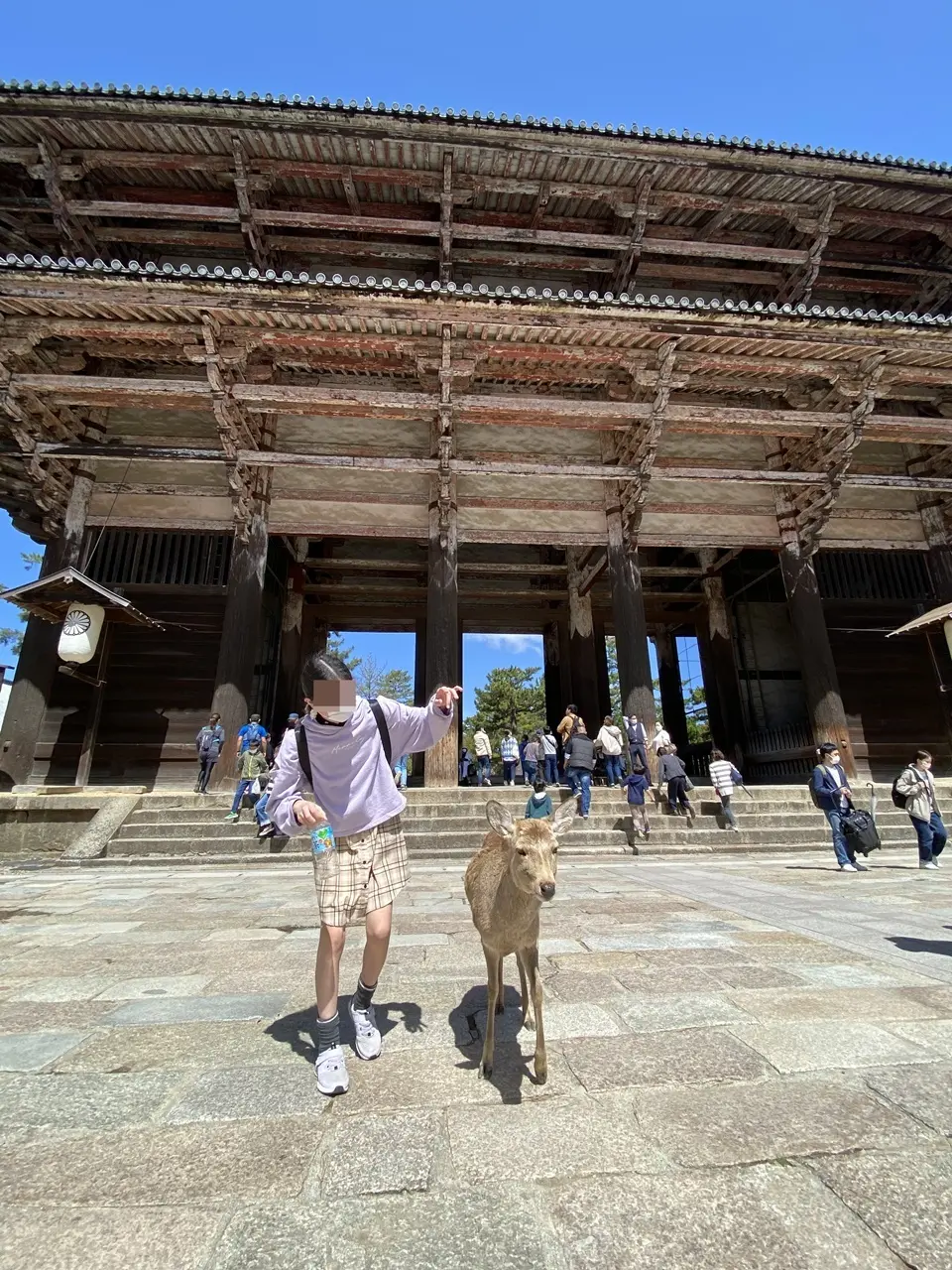 東大寺南大門にて鹿と次女