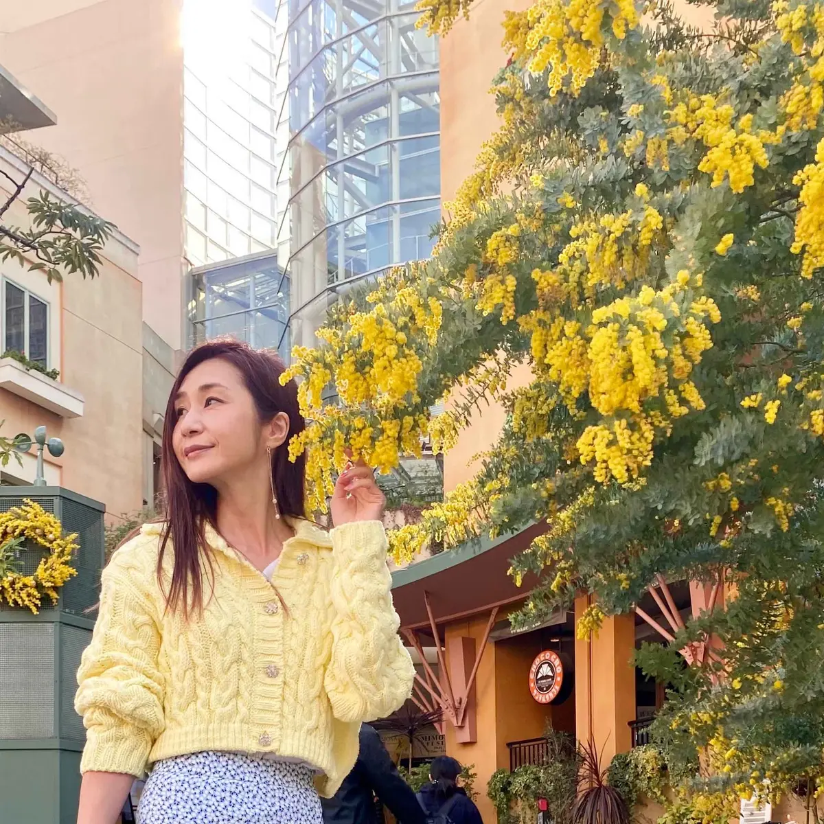 ミモザの花の下で立つ私