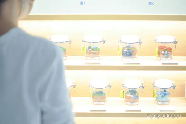 【さかぽんの冒険】プラタナス並木で ほっの画像_23