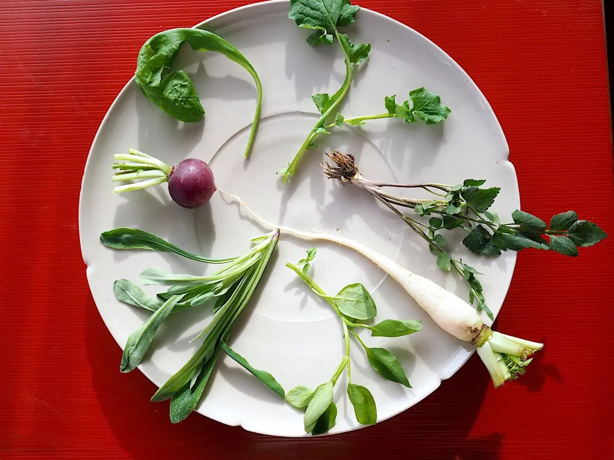 1月7日「人日の節句」