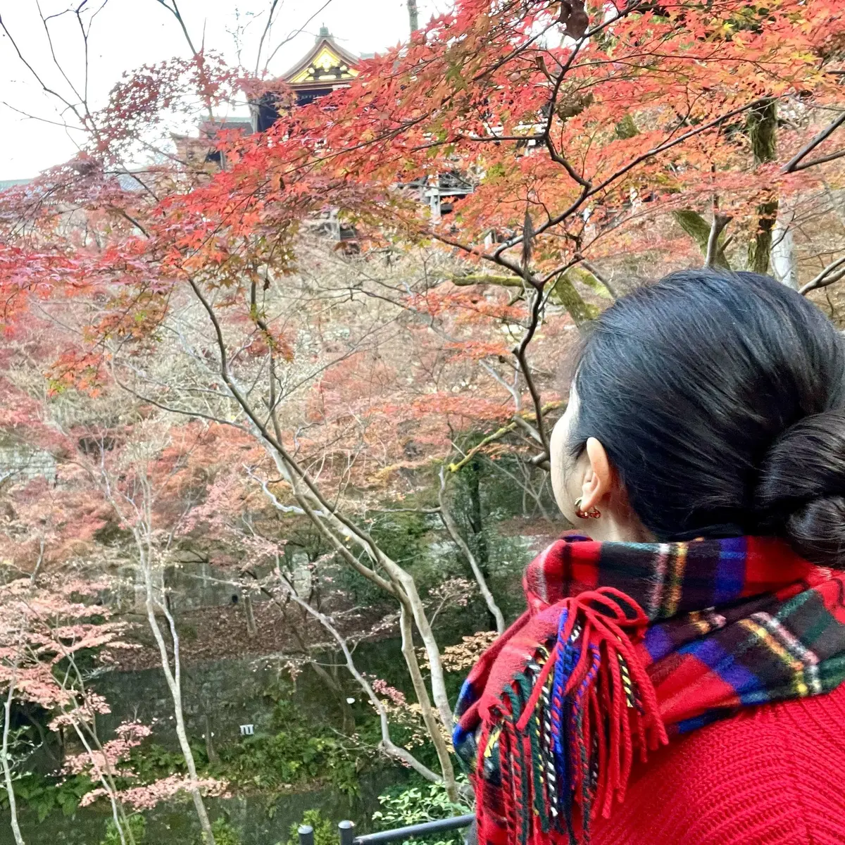 秋の景色を楽しむ♡京都の紅葉②の画像_11