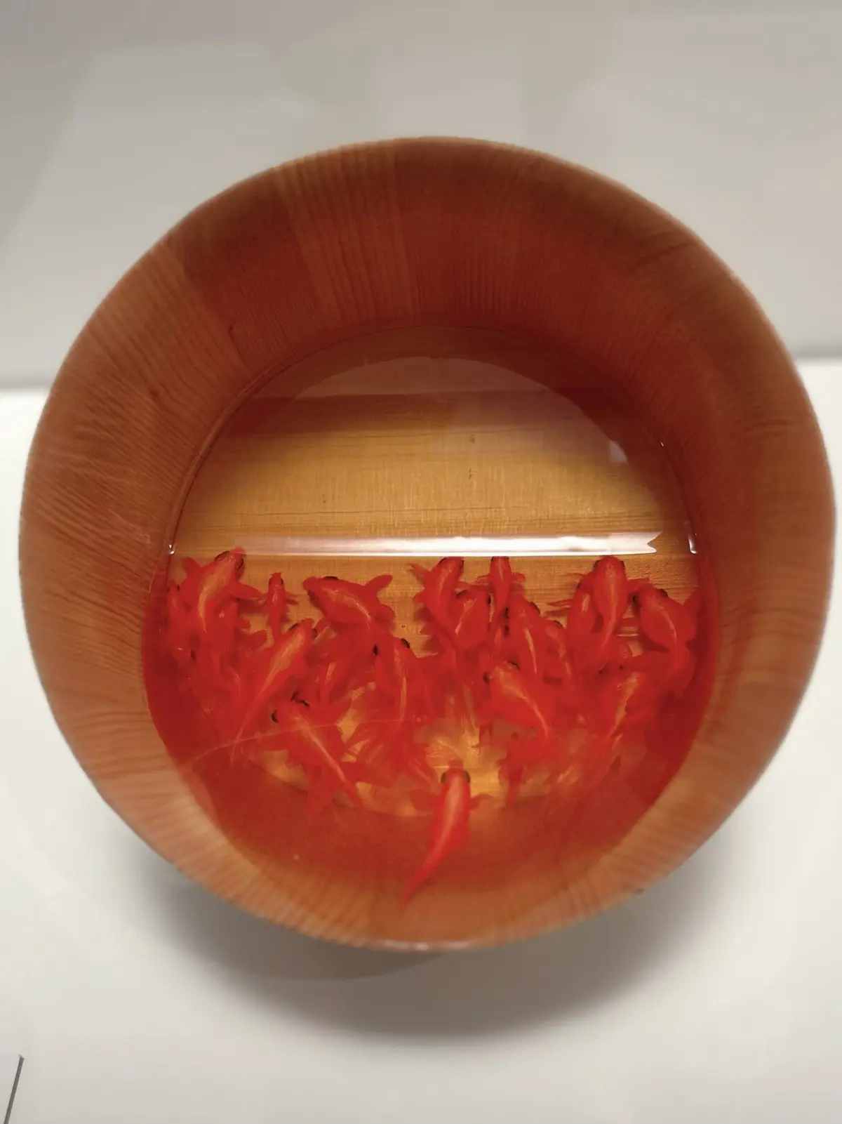 浴衣でゆく、夏色の大阪✨の画像_14