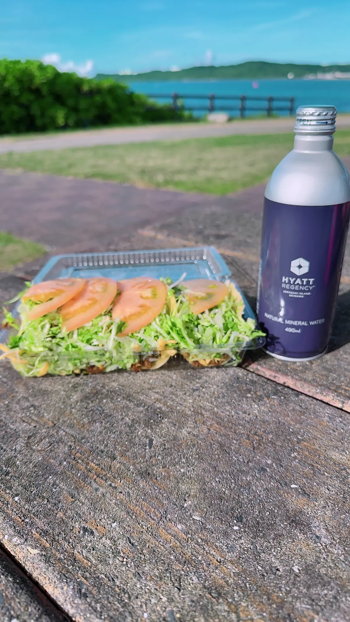 沖縄恩納村のタコス