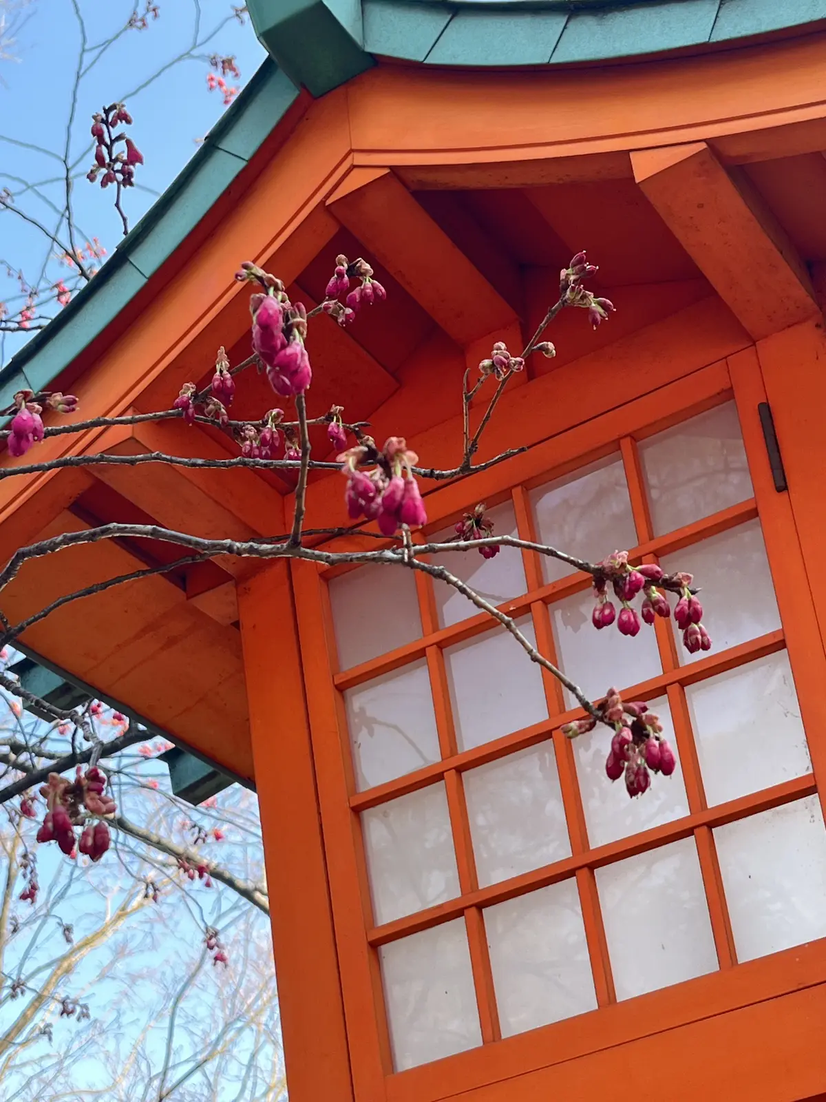 ランチとお参りの画像_20