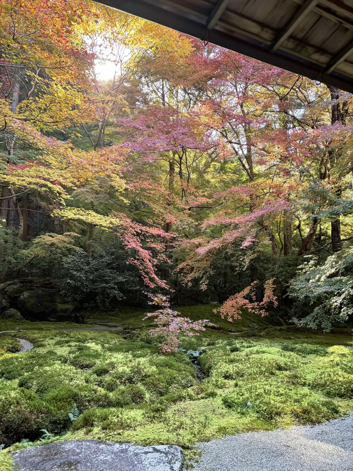 京都　八瀬　瑠璃光院