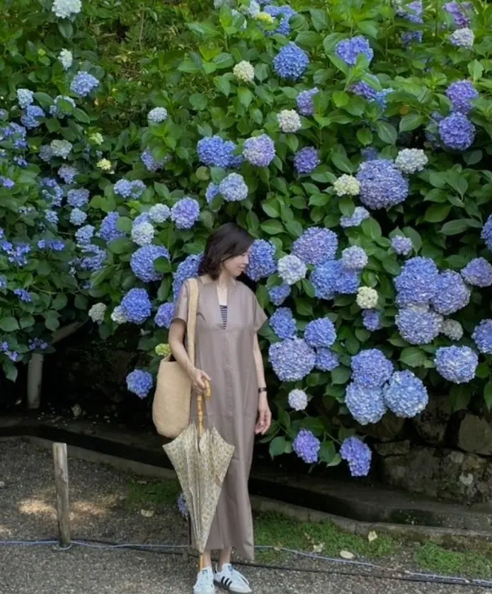 西国八番霊場　総本山 長谷寺　紫陽花