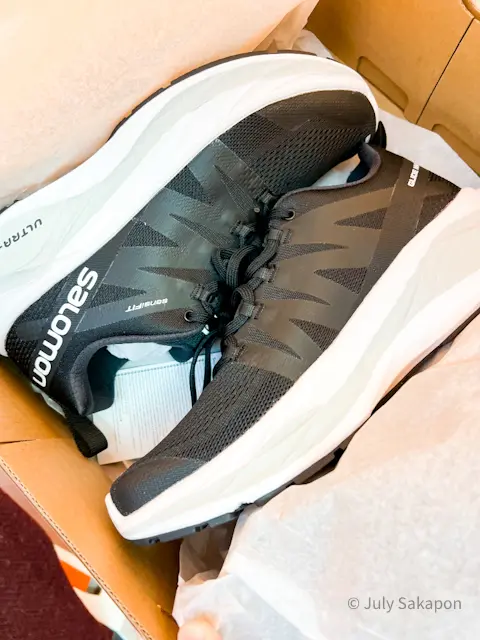 【さかぽんの大冒険】やってしまった冬山登の画像_17