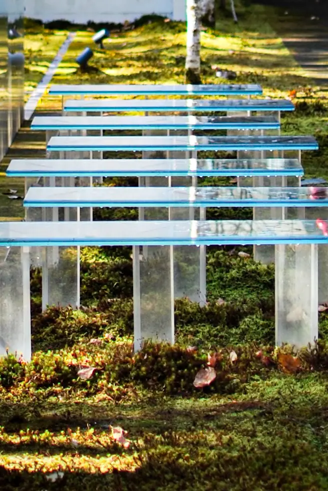 【さかぽんの冒険】風通る白樺と苔の森@軽の画像_5