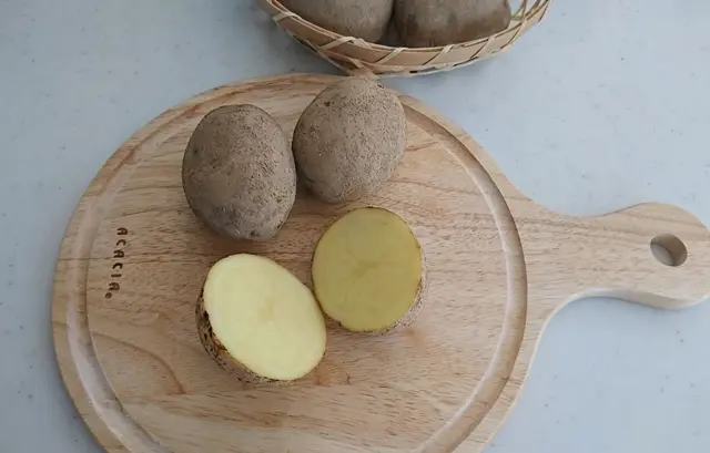 マチルダの断面