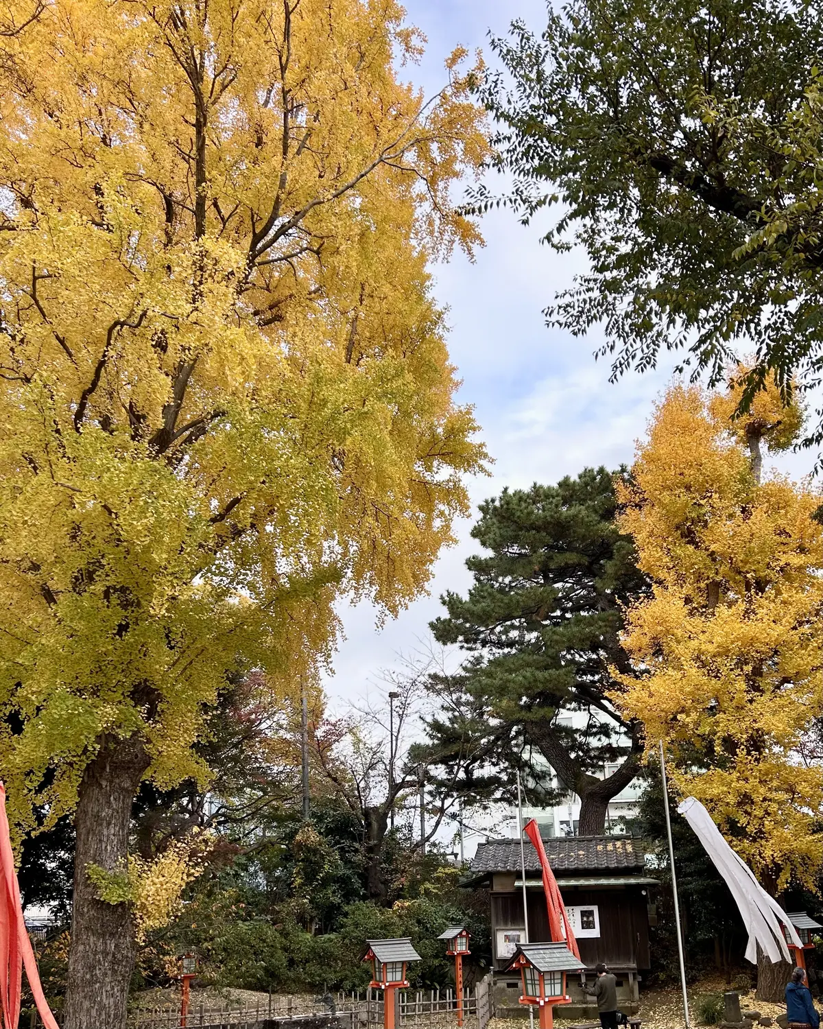 UNIQLO ✖️ KAWS コラボニッの画像_8