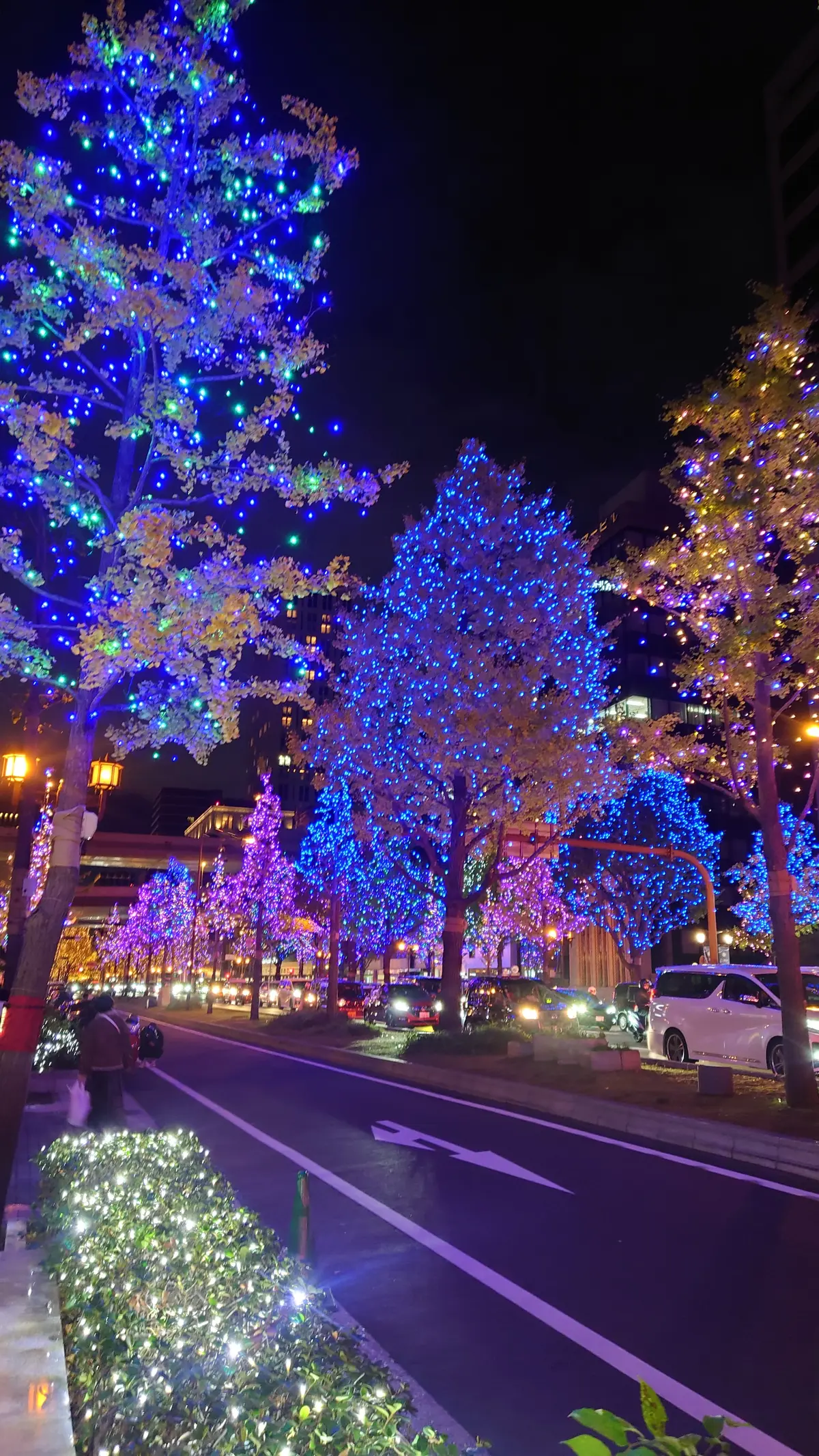 イルミネーション