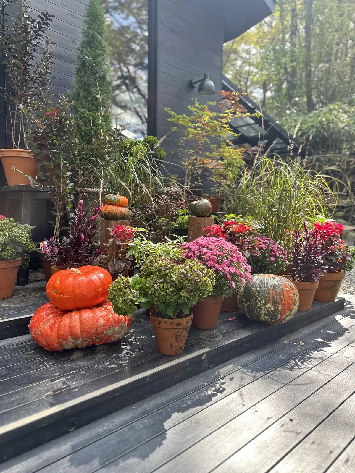 【ニコライバーグマン箱根ガーデンズ】大自の画像_4