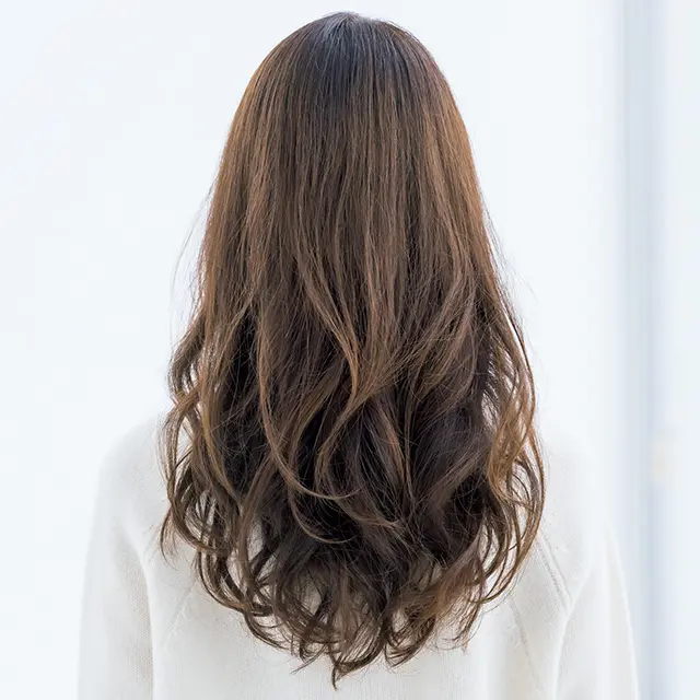 リッチ感のあるロングのバック