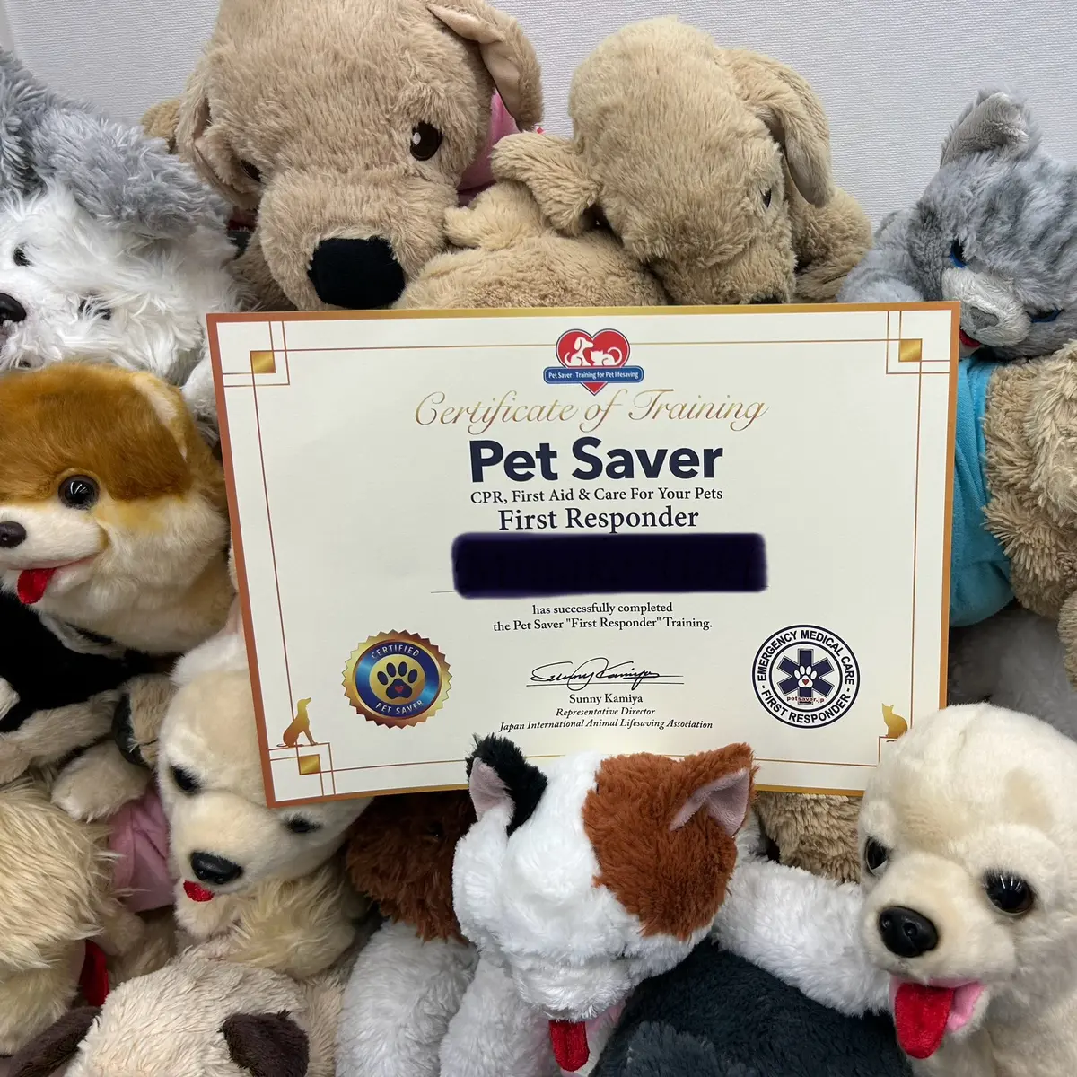 実技で活躍してくれたぬいぐるみ達