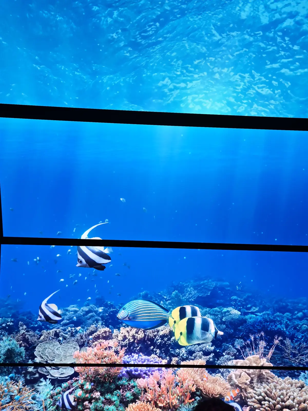 やっぱり行き当たりばったり?な大阪・関西の画像_34