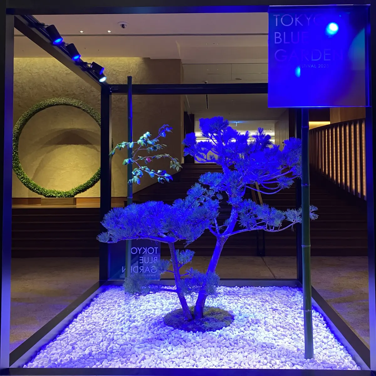 日本庭園がBLUEの世界に！の画像_1