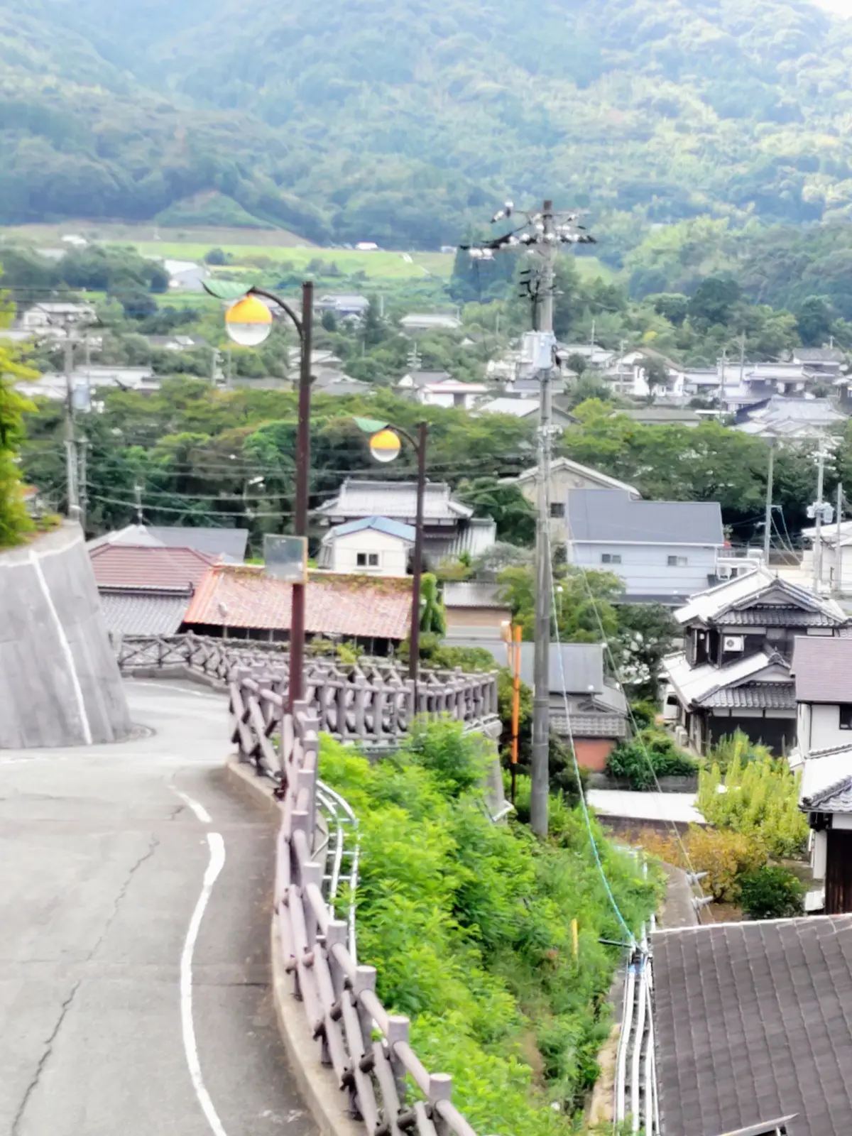 『萩』の画像_9