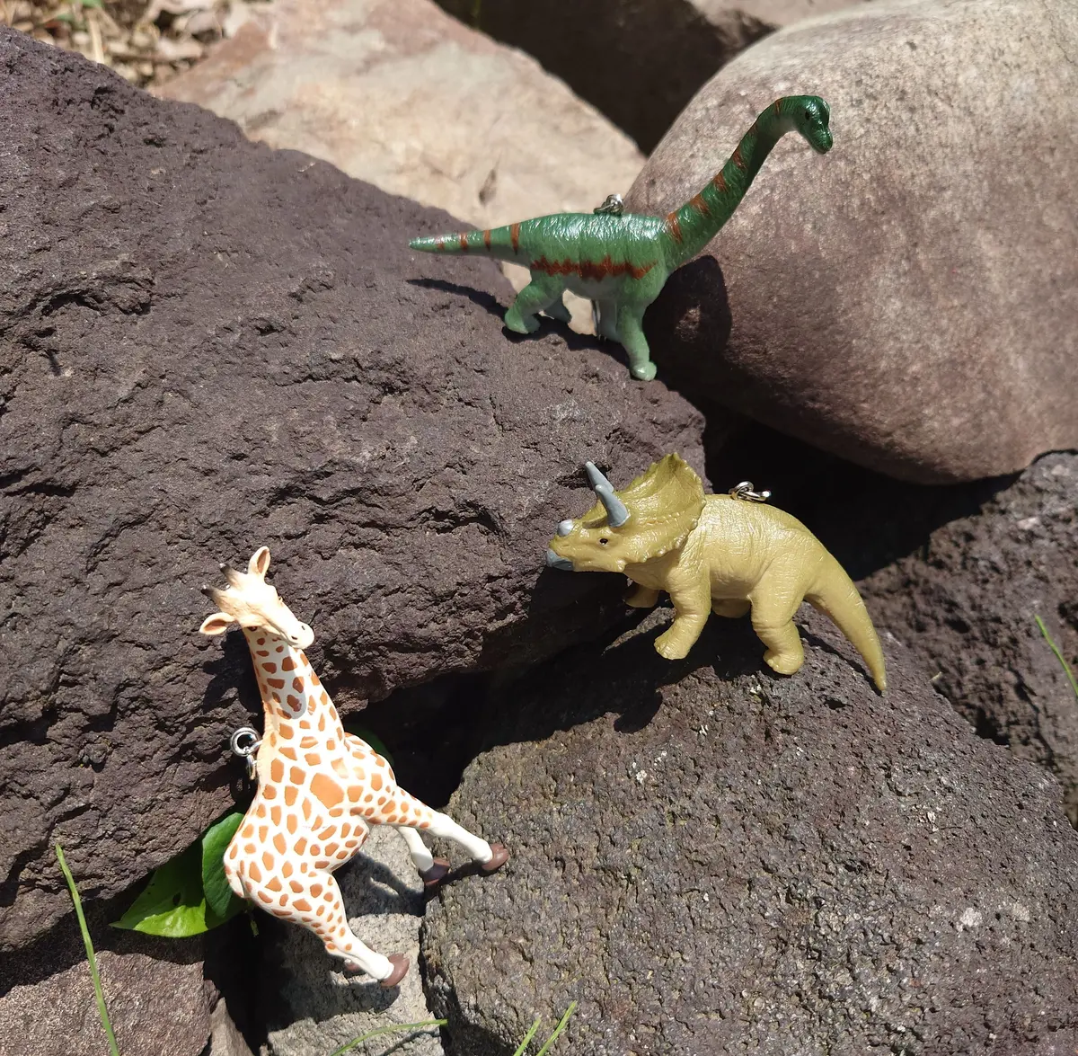 ディテールインク