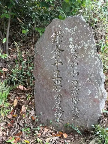 新緑眩しい鎌倉ハイキングに出掛けませんかの画像_18