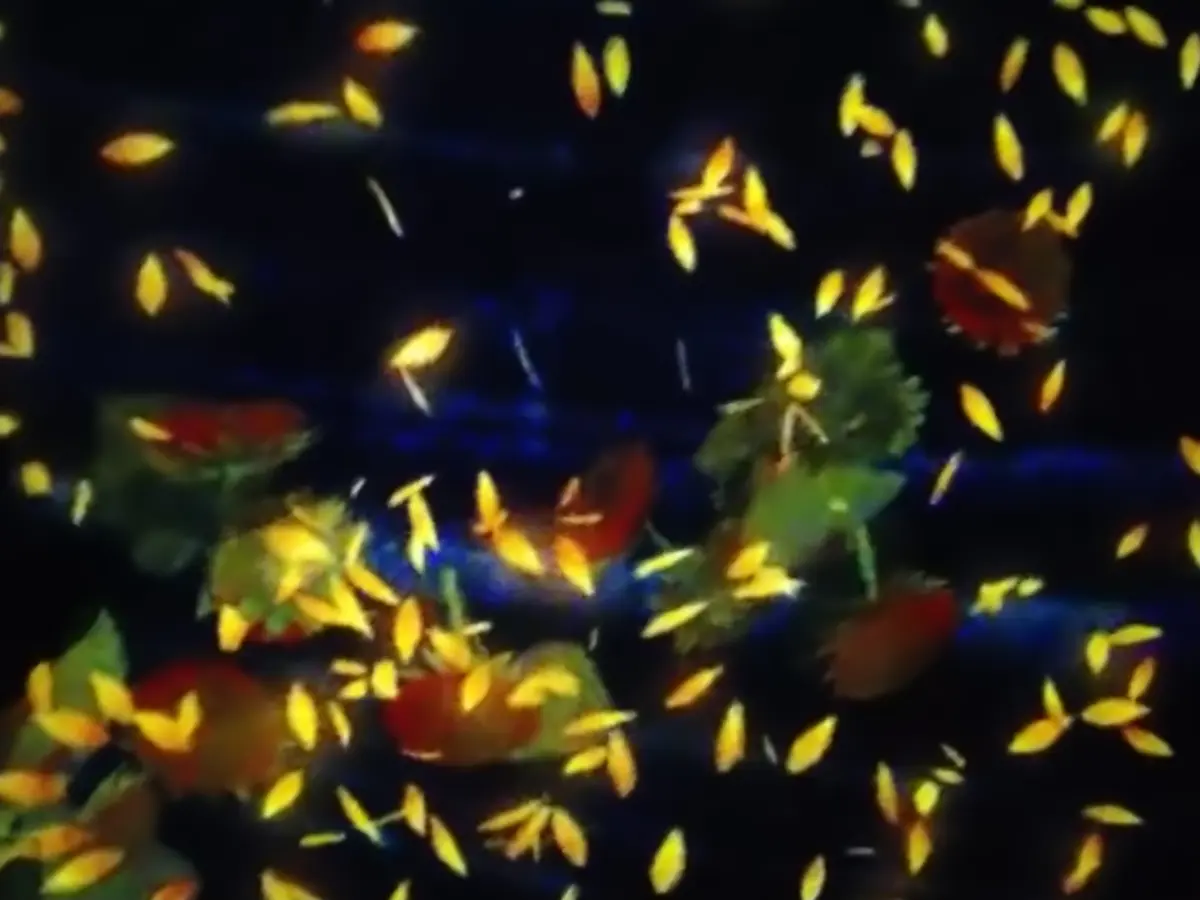 夏の日帰り旅♡早朝出発、深夜帰宅で広島かの画像_8