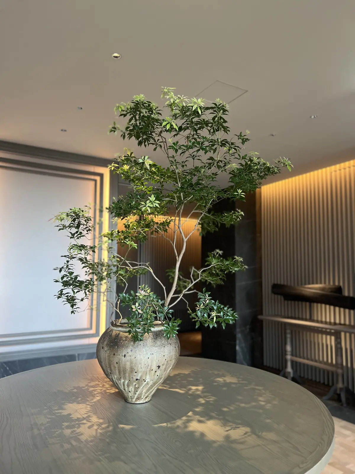 ジャヌ東京アフタヌーンティーで 春を楽しの画像_15