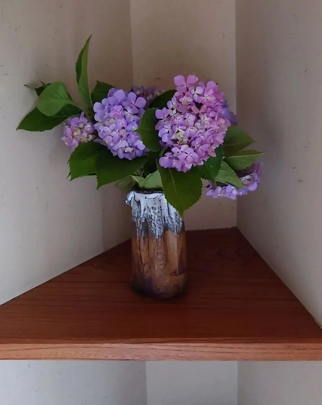 暑い日につるっと食べたい！50代大満足のの画像_11