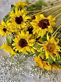 またまた新しいひまわり買ってきましたよ！