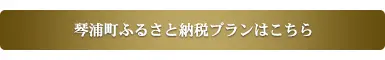 ふるさと納税サイト「ふるさとチョイス」
