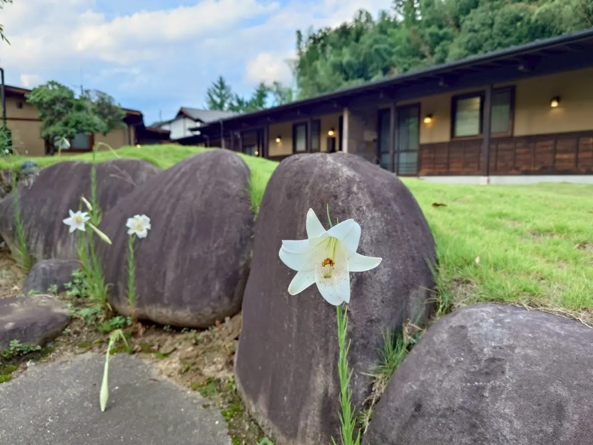 笛吹川温泉　坐忘